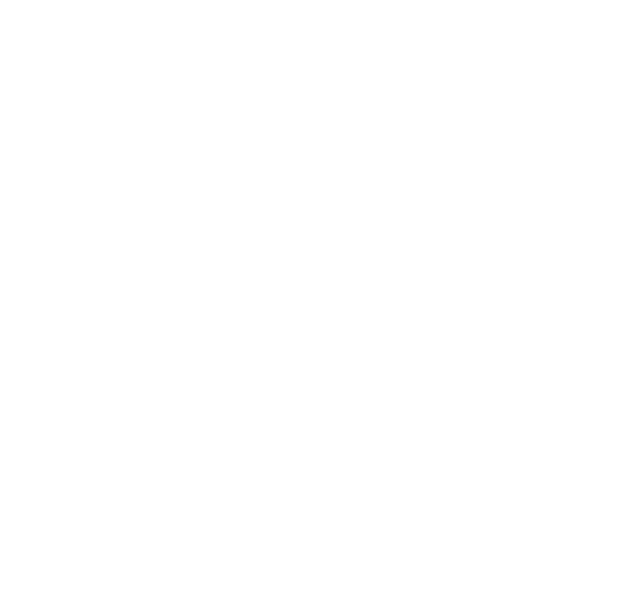 GARCA FIAT